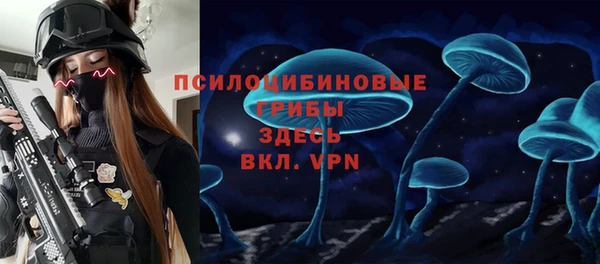мяу мяу мука Арсеньев