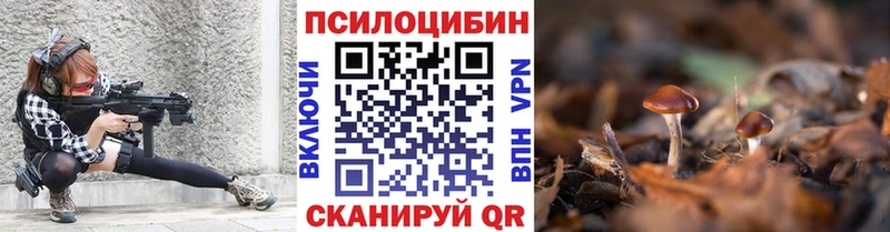 Псилоцибиновые грибы Cubensis  Белозерск 